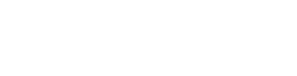 Point Audit